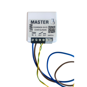 Modul WiFi / releu wireless pentru automatizari porti